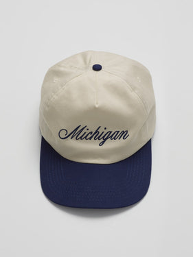 Michigan script hat one dna