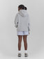 Michigan Script Hoodie Ash