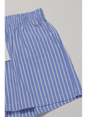 Pinstripe Shorts __03