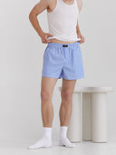 Pinstripe Shorts __03