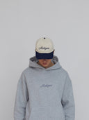 michigan script hat one dna